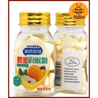 Prune Candy 甘梅片 / Kim Jo / Snow Flakes Orange Peel / Plum Tablets / Honey Mint Tablets 蜂蜜雪梨味 Old School Snacks